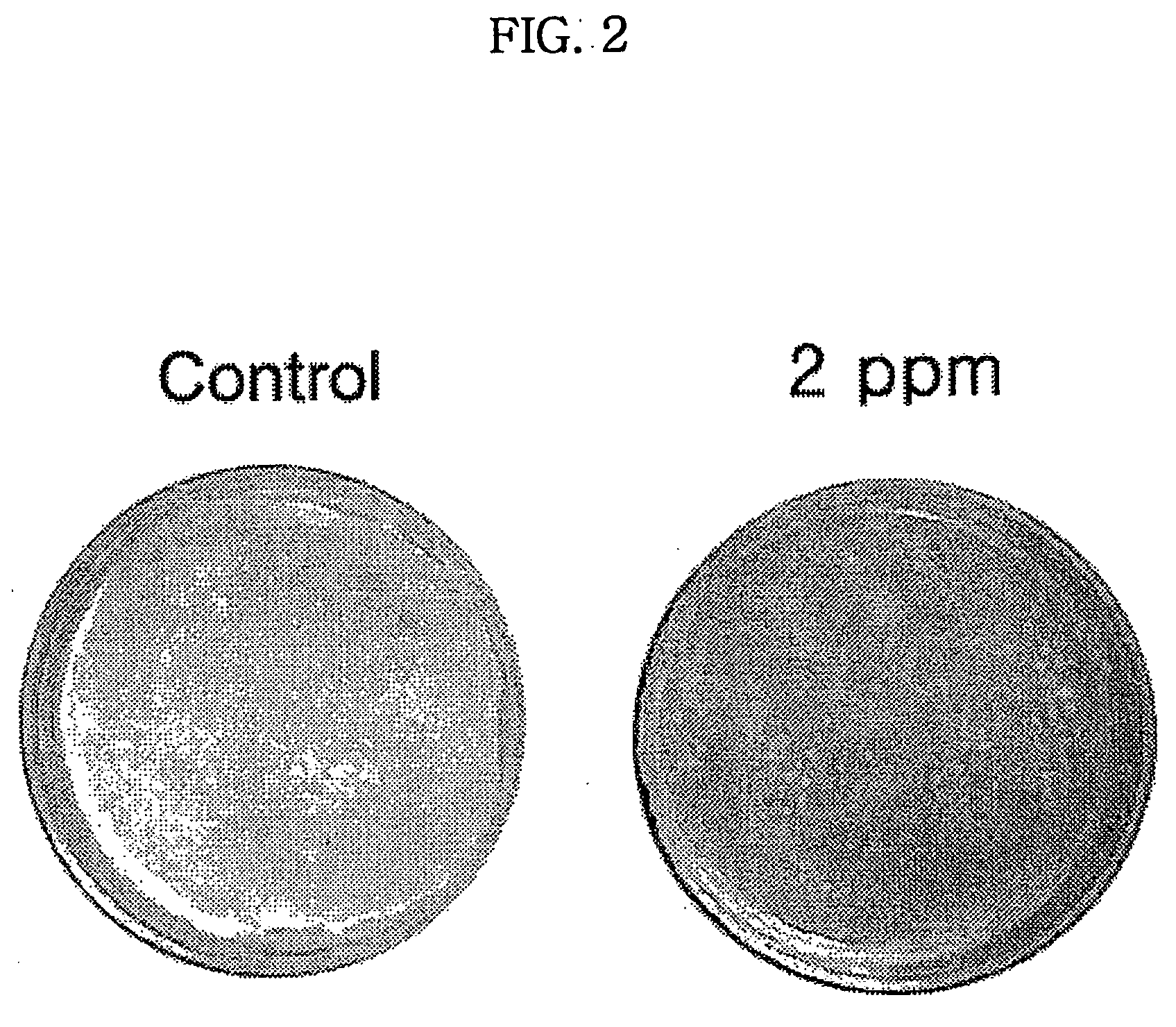 Pharmaceutical composition for the treatment of seborrhea containing 4-hydroxy-5-methoxy-4-[2-methyl-3(3-methyl-2-butenyl)-2-oxiranyl]-1-oxaspiro[2,5]octan-6-one