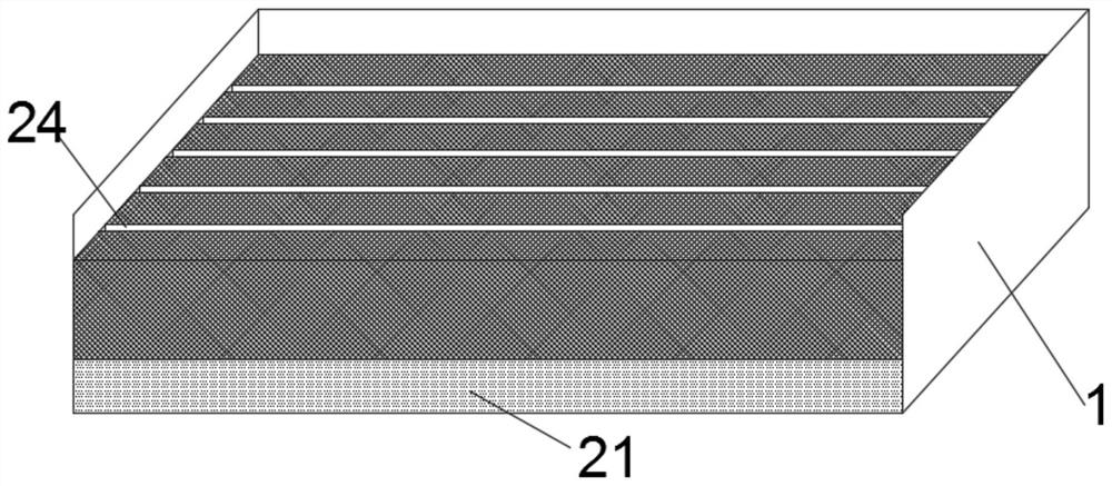 A kind of cutting rapid propagation method of European spruce