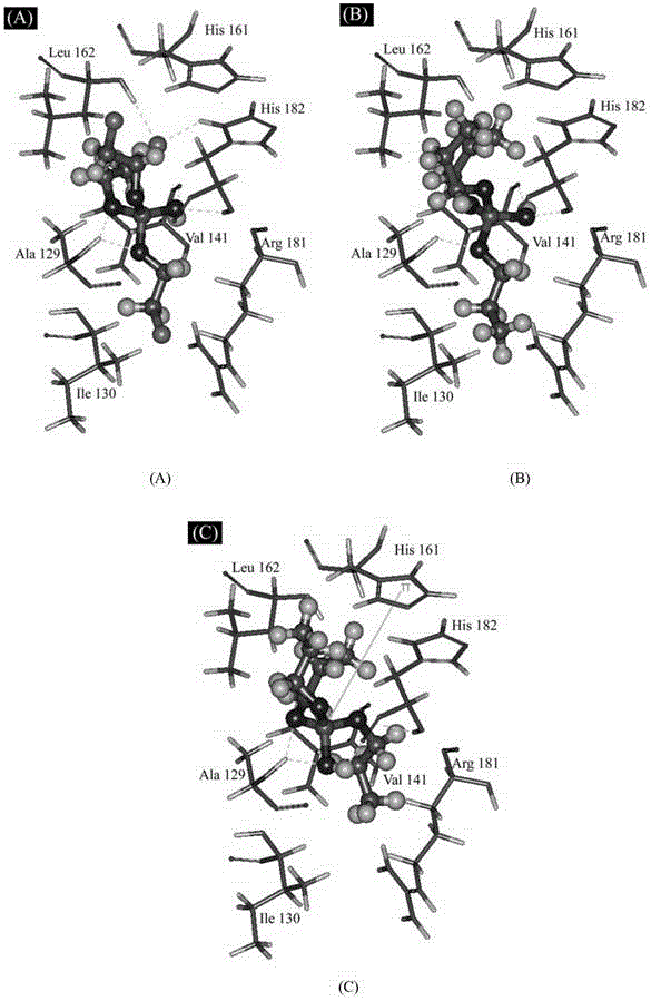 A method for predicting the interaction affinity of biomarker p53 with organophosphate flame retardants