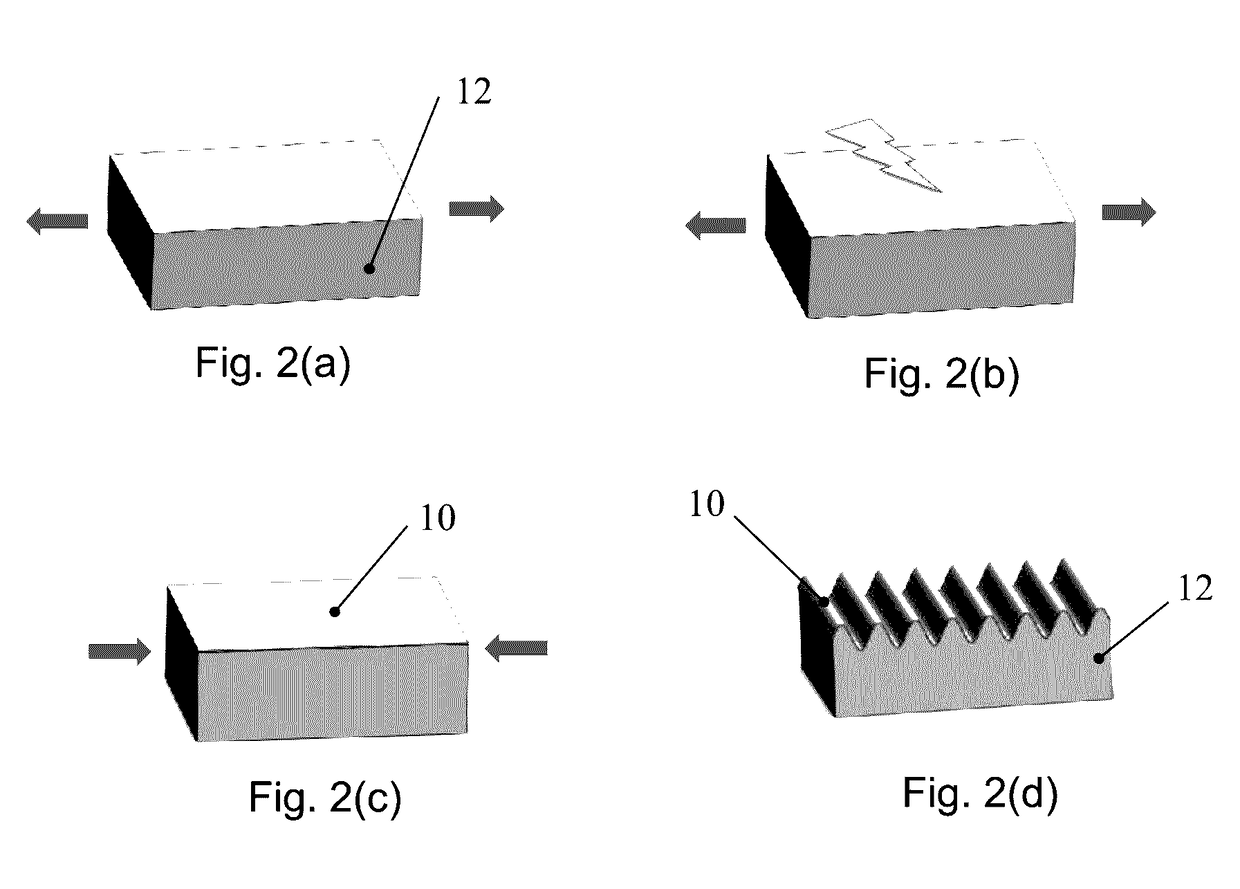 Biaxial tensile stage for fabricating and tuning wrinkles