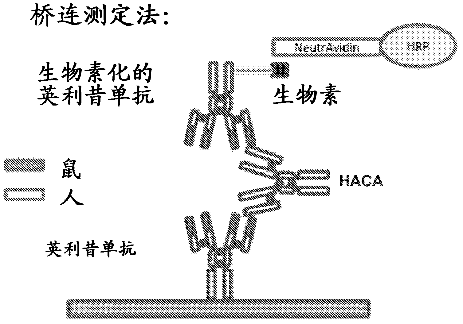 Assays for detecting autoantibodies to anti-TNF alpha drugs