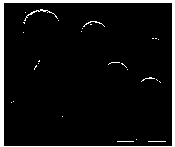 Low-energy-consumption preparation method of pitch-based spherical active carbon