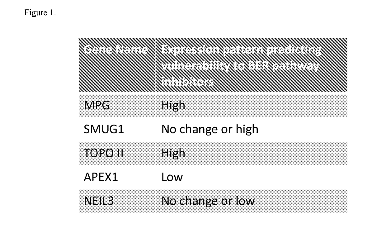Genetic signature of vulnerability to inhibitors of base excision repair (BER) in cancer
