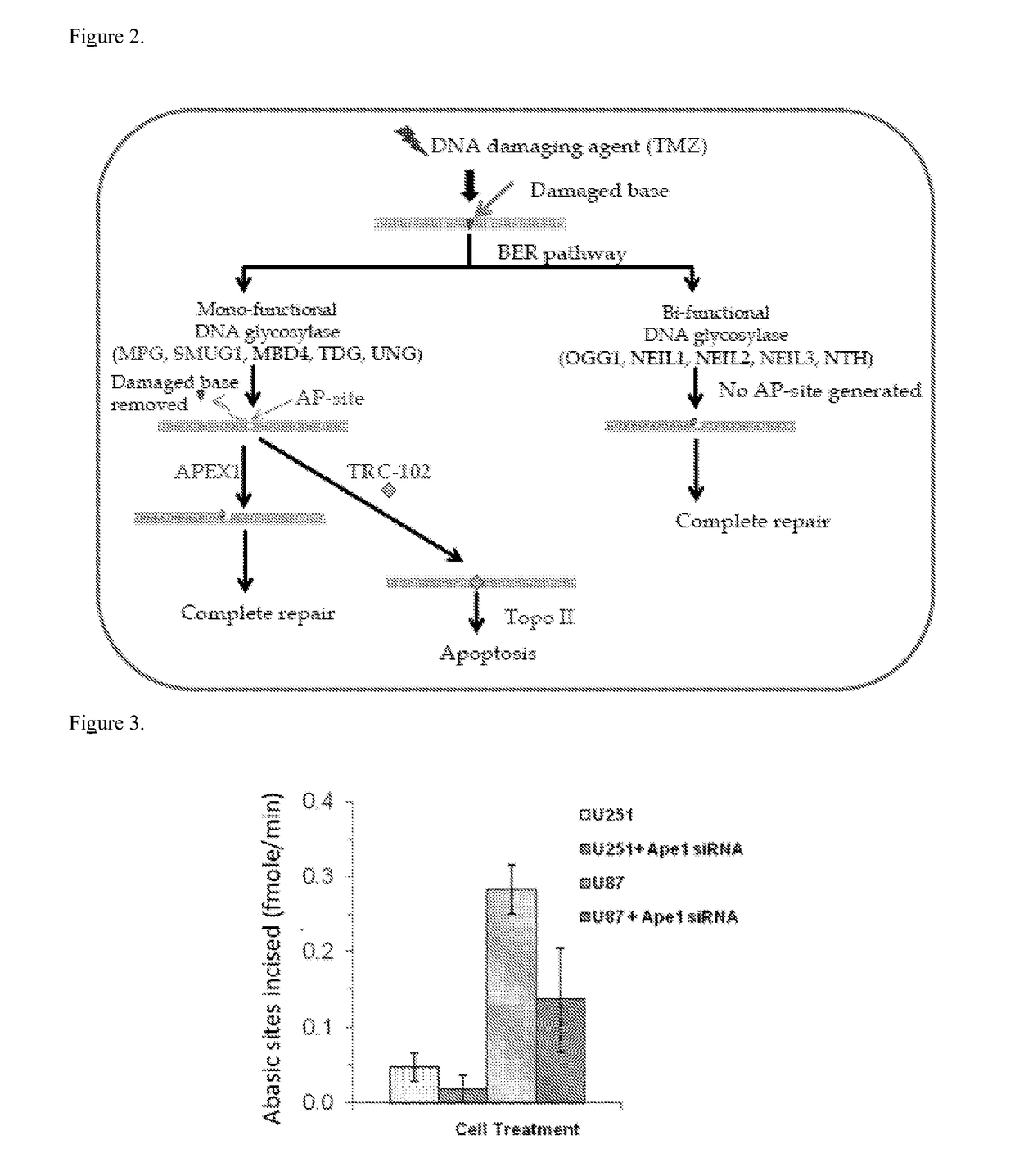 Genetic signature of vulnerability to inhibitors of base excision repair (BER) in cancer