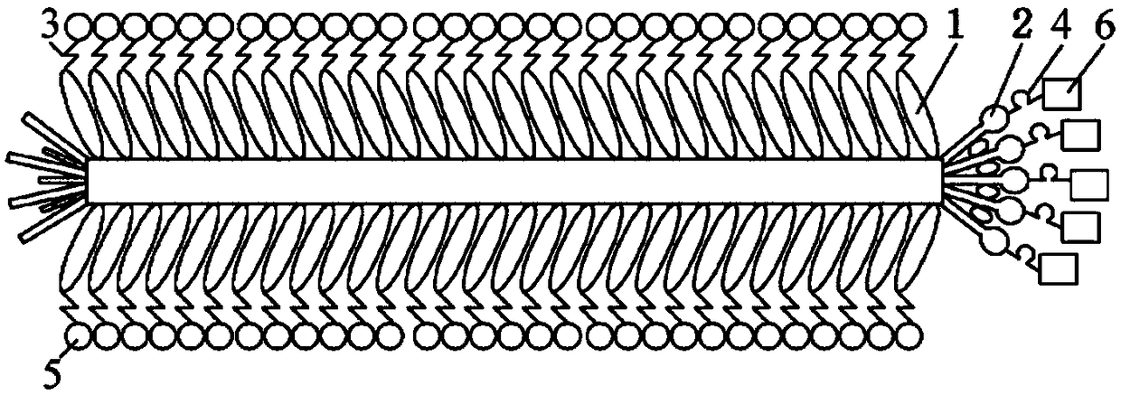 Preparation method for composite photocatalytic material based on microbial template