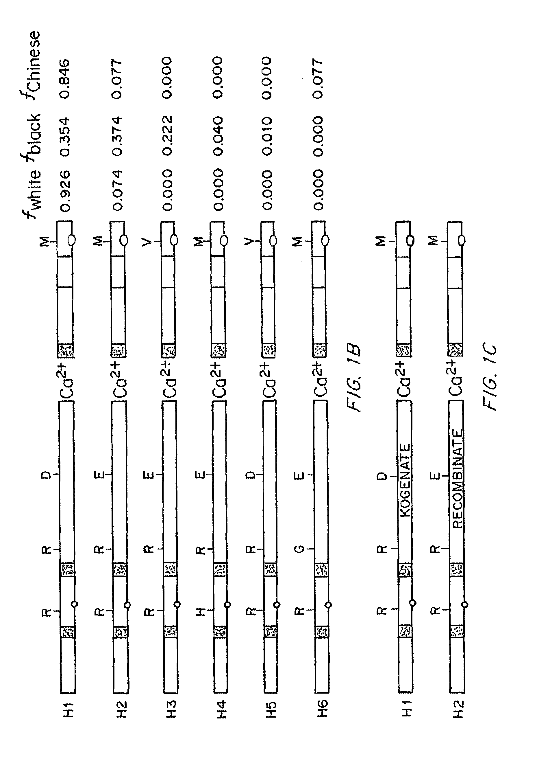 Compositions and methods of treatment of black hemophiliac patients