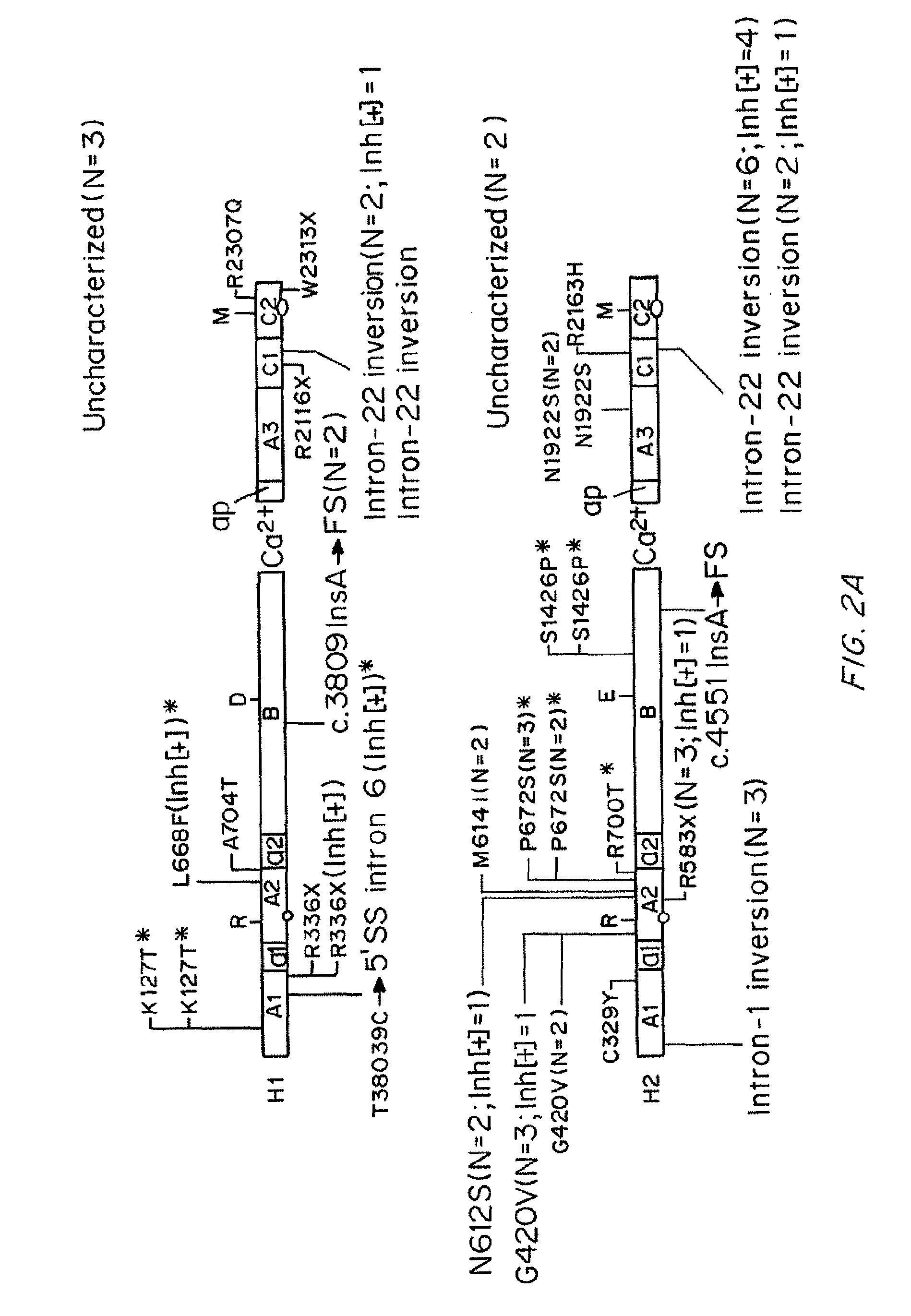 Compositions and methods of treatment of black hemophiliac patients