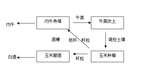 Method for thoroughly improving saline soil by combination of farming and grazing