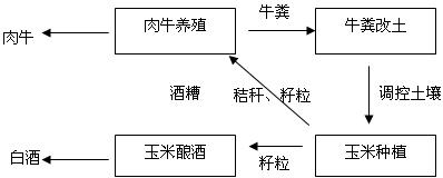 Method for thoroughly improving saline soil by combination of farming and grazing