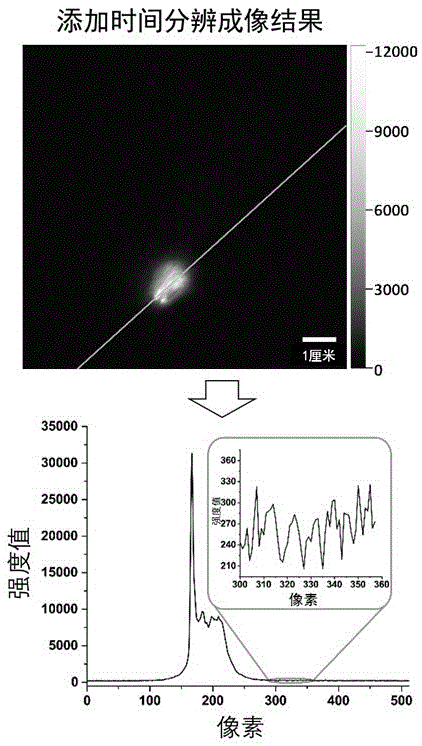 Laser pump time resolution up-conversion luminescence living imaging system