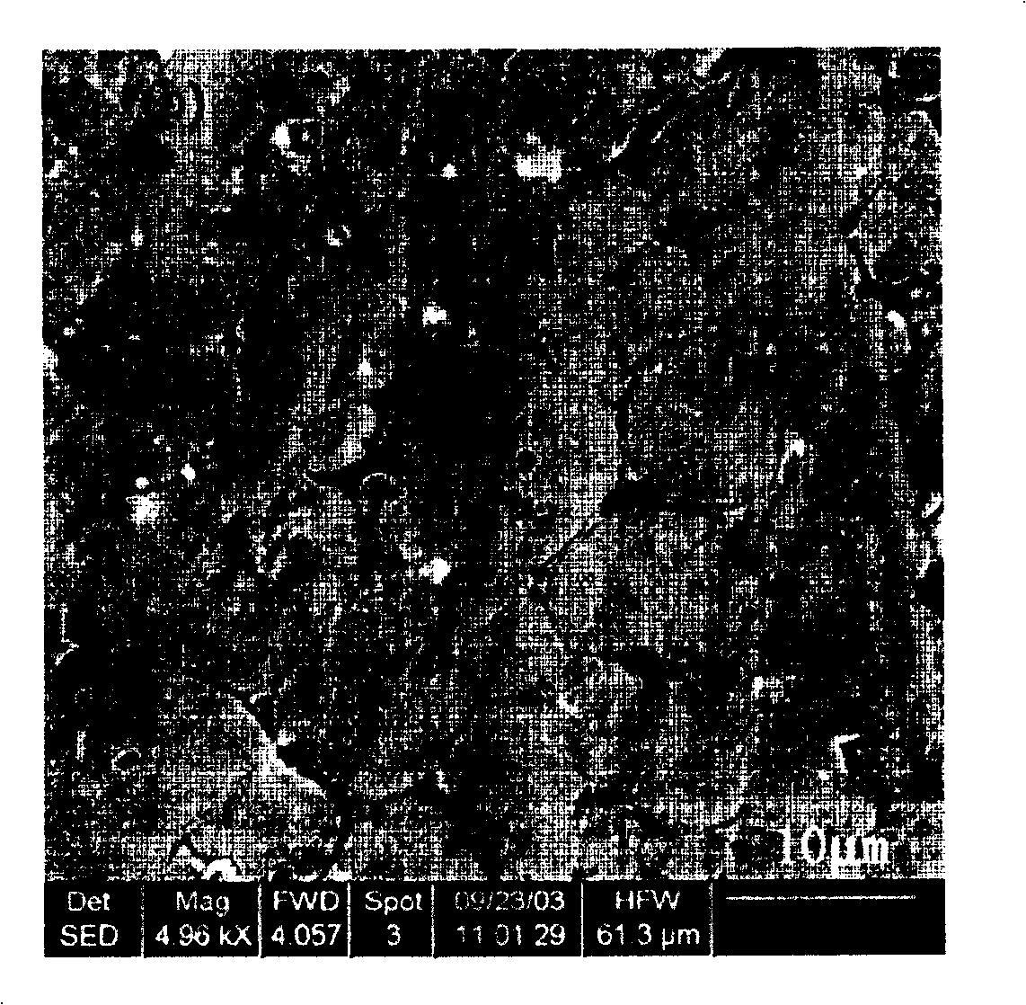 Method for preparing rolling anisotropic magnetic powder and magnet