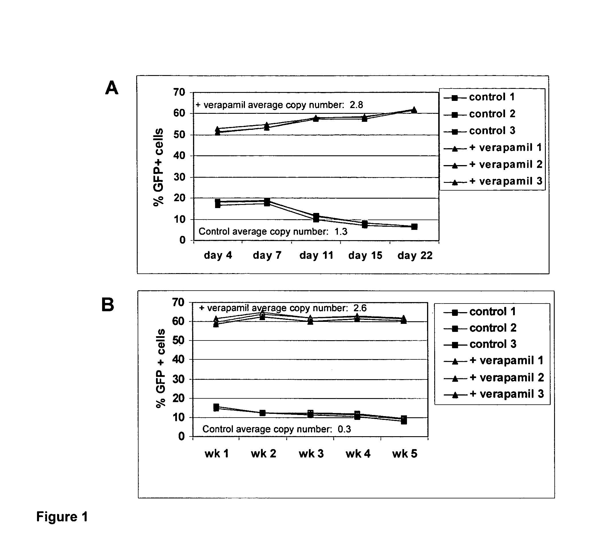 Increased transduction using ABC transporter substrates and/or inhibitors