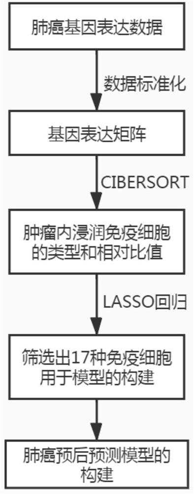 Lung cancer prognosis prediction model and construction method and device