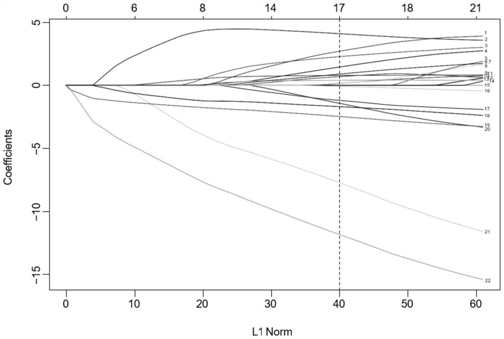 Lung cancer prognosis prediction model and construction method and device