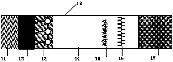 Apparatus for rapidly detecting soybean proteins in food, and making method thereof