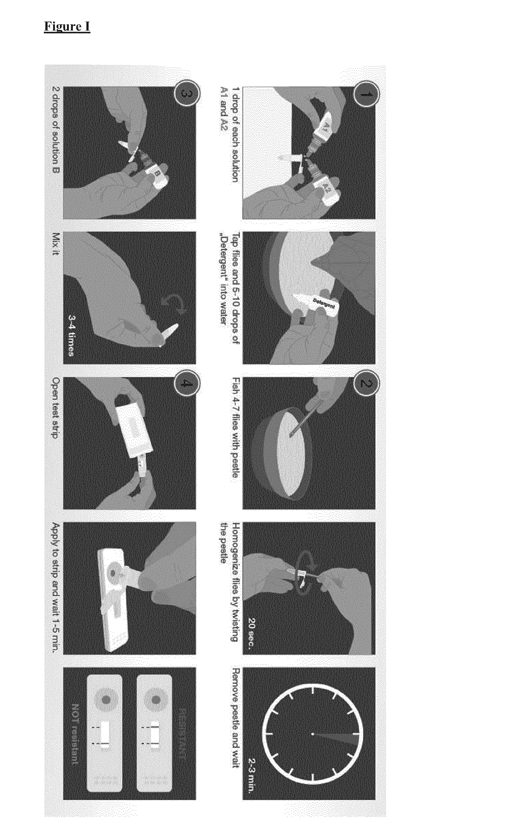 Detection system for the identification of insecticide resistance