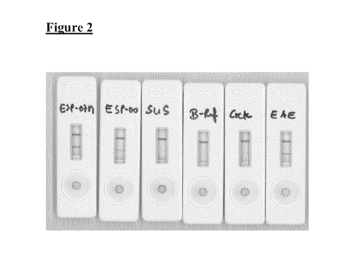 Detection system for the identification of insecticide resistance