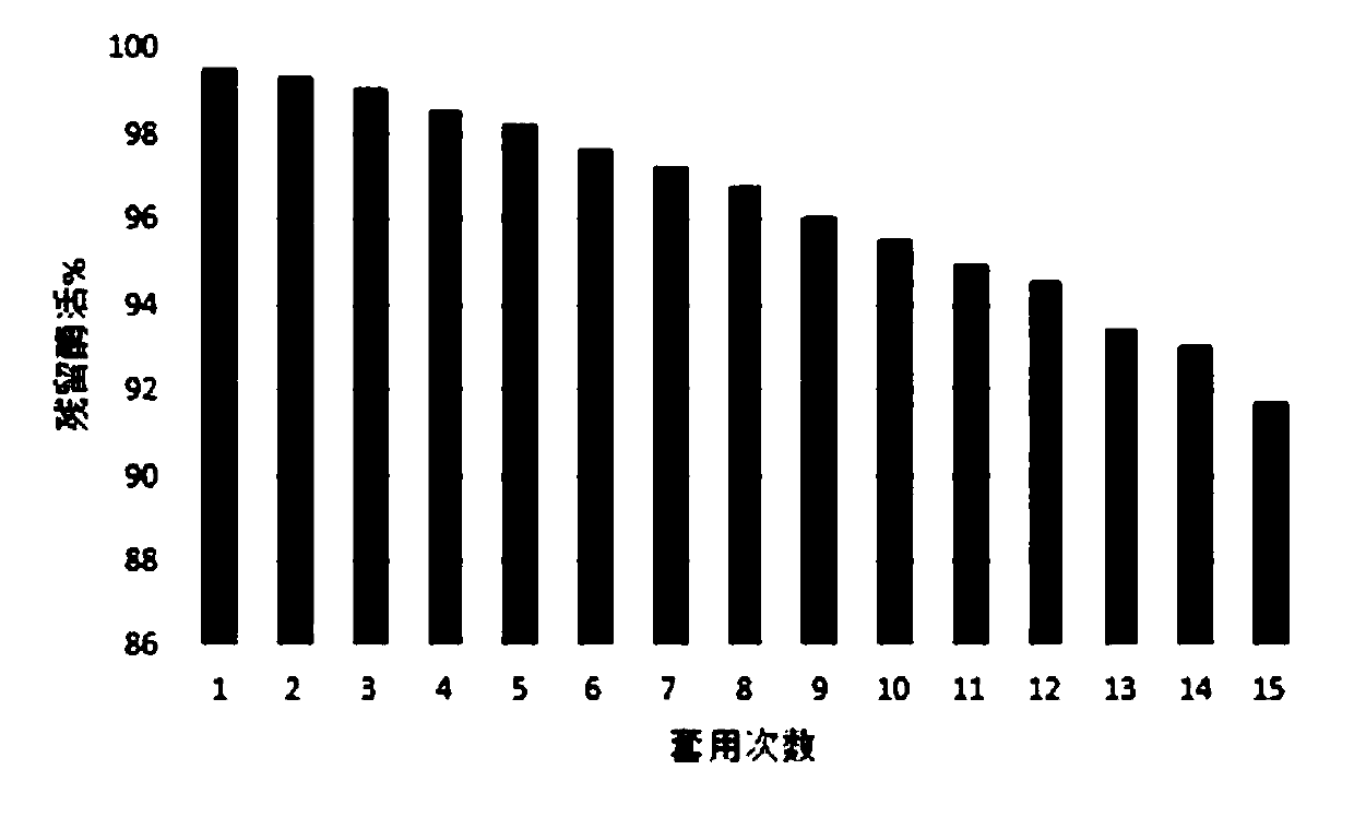 Dry powder type immobilized lipase and production process thereof