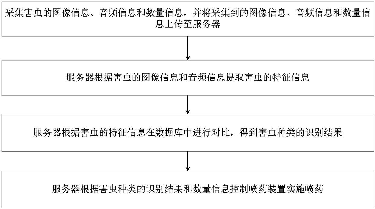 Method and system for preventing and treating insect pests