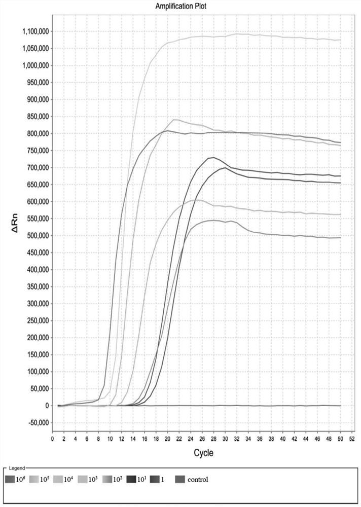 Lamp primer set, kit and rapid detection method for detecting Enterobacter aerogenes