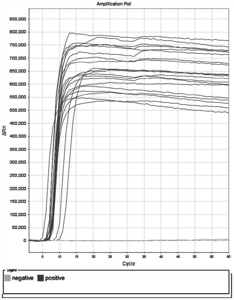 Lamp primer set, kit and rapid detection method for detecting Enterobacter aerogenes