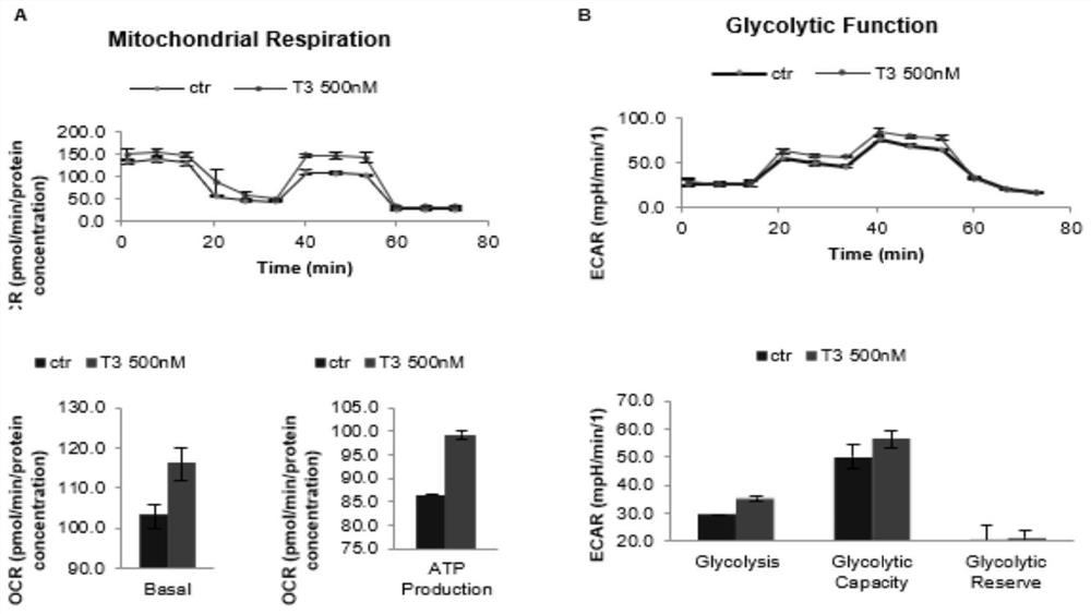 New application of thyroxine, method for culturing pluripotent stem cells and culture medium