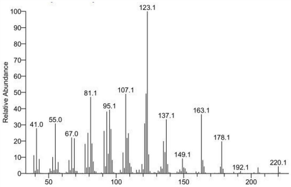 Method for preparing thujopsanone under catalysis of MTO