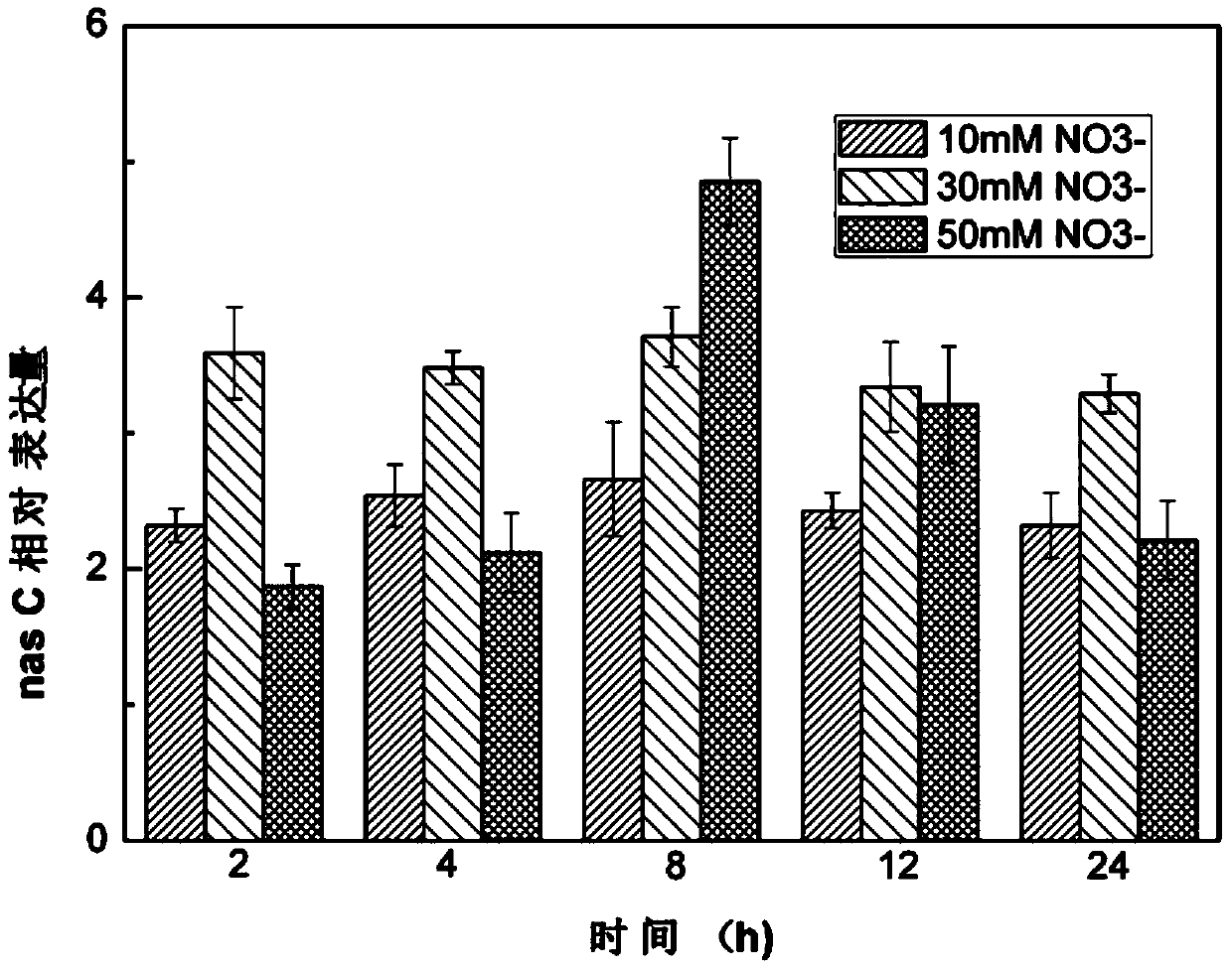 Assimilation nitrate reductase gene and assimilation nitrite reductase gene both extracted from bacillus megaterium as well as applications of assimilation nitrate reductase gene and assimilation nitrite reductase gene