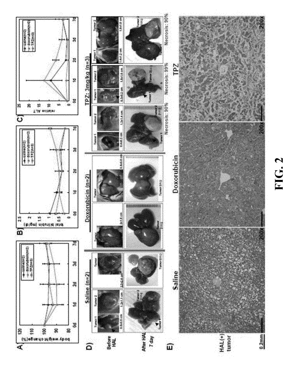 Compositions and methods for immune-mediated cancer therapy