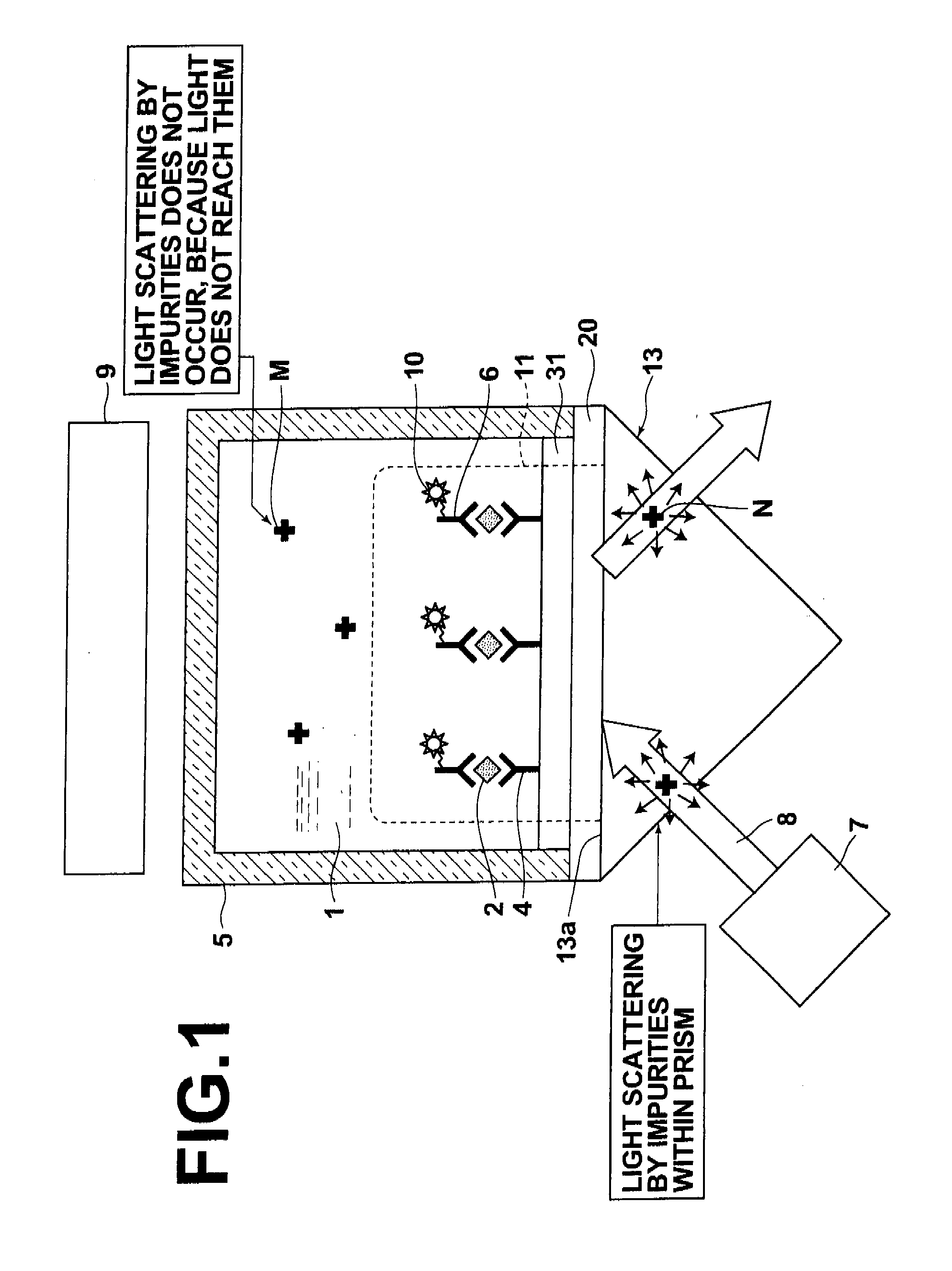 Surface plasmon enhanced fluorescence sensor and fluorescence detecting method