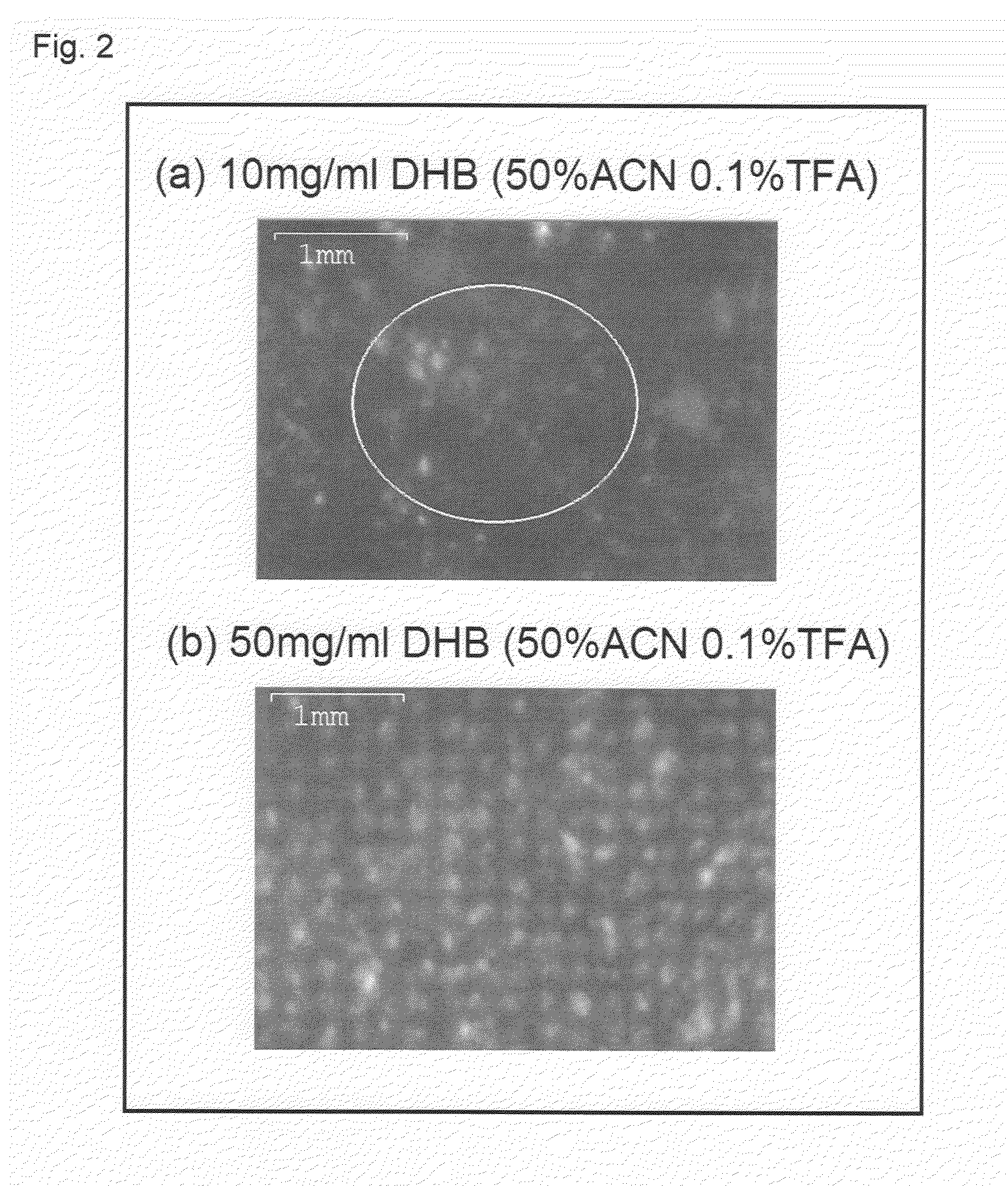 Method of preparing sample for matrix-assisted laser desorption ionization mass spectrometry and matrix-assisted laser desorption ionization mass spectrometry