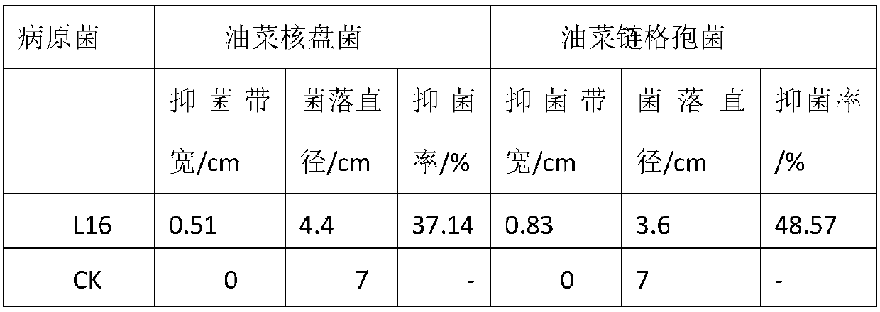 Bio-organic fertilizer applicable to rape and application