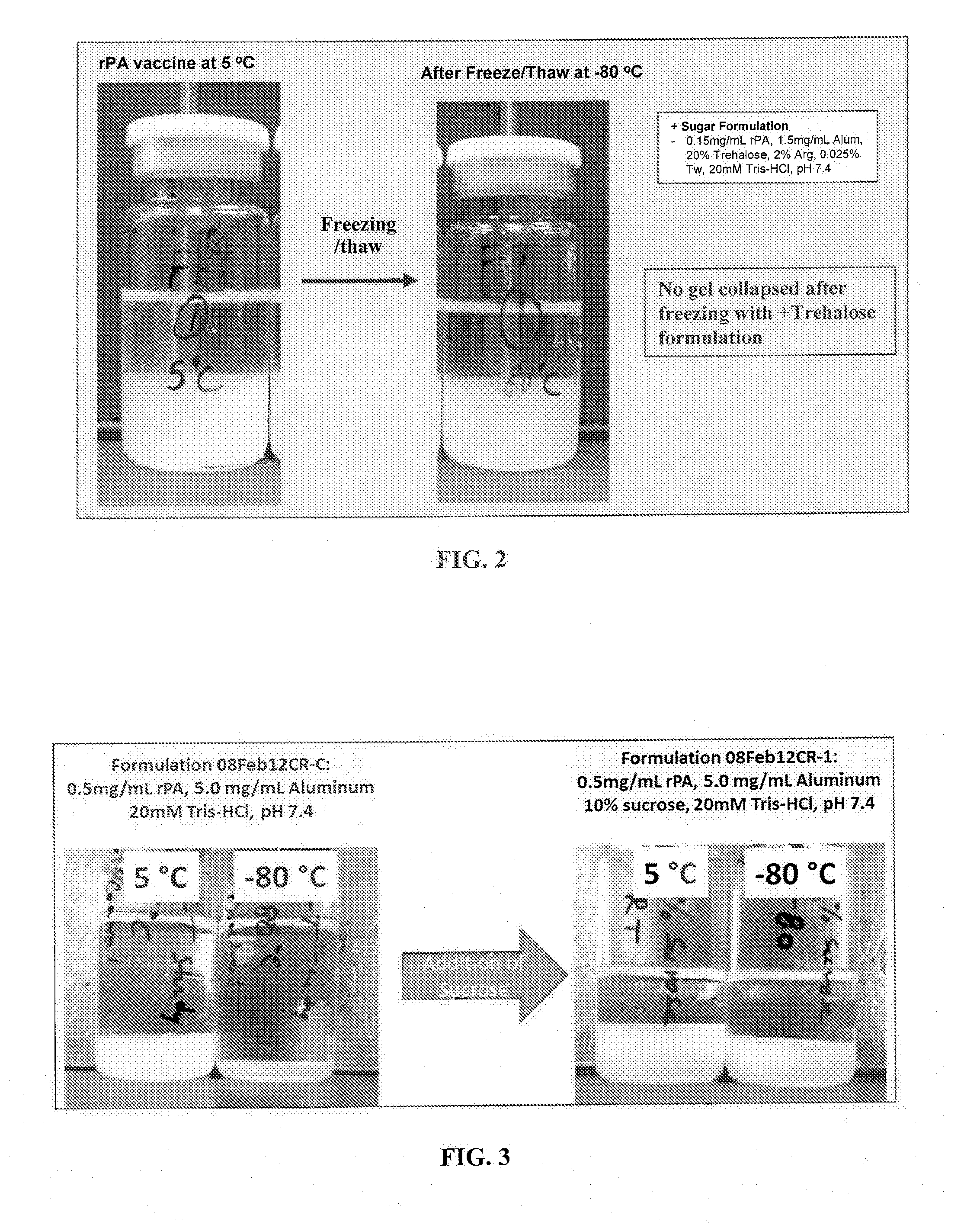 Temperature Stable Vaccine Formulations