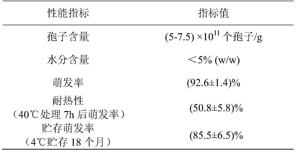 Isaria fumosorosea fermentation and spore powder preparation process