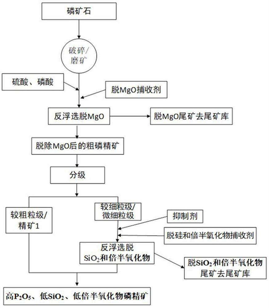 A method for preparing high-quality phosphorous concentrate