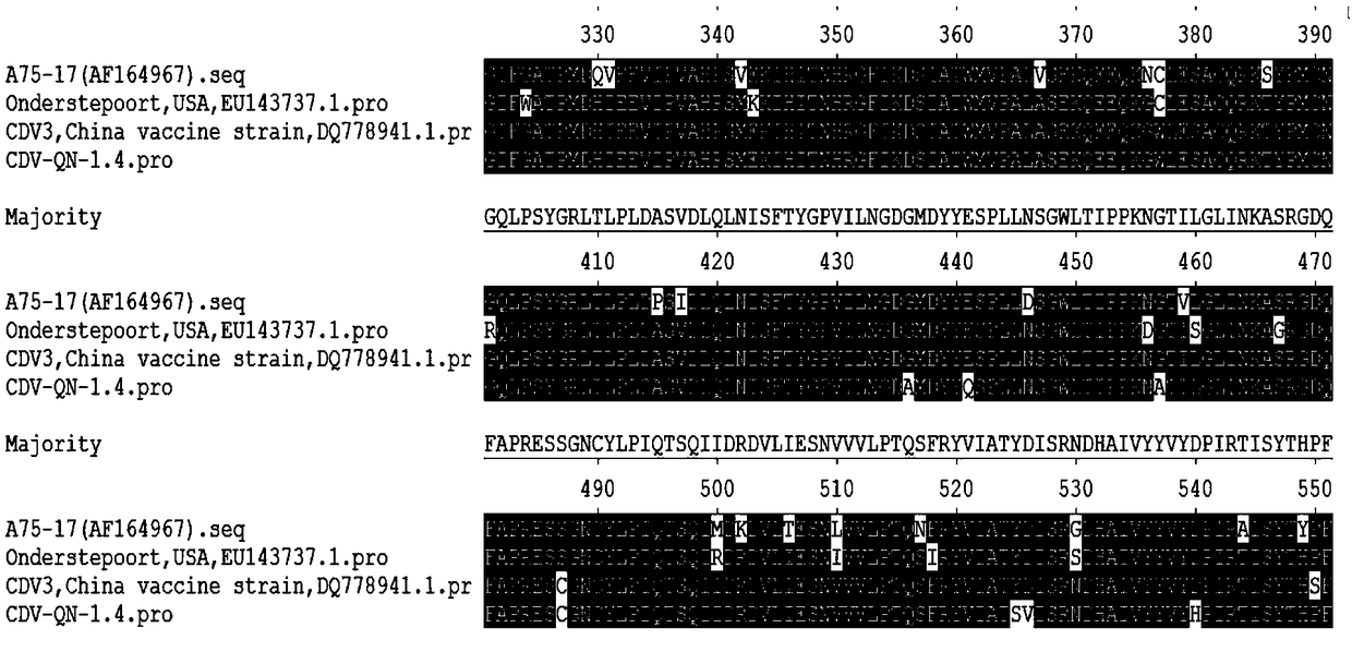 Canine distemper genetic engineering subunit vaccine