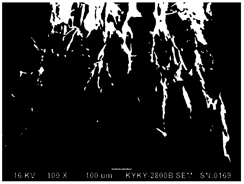 Composite collagen dressing for burnt injury wound surface restoration and preparation method thereof