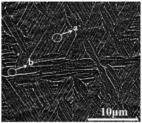 Multi-scale structure alloy material, preparation method and application thereof