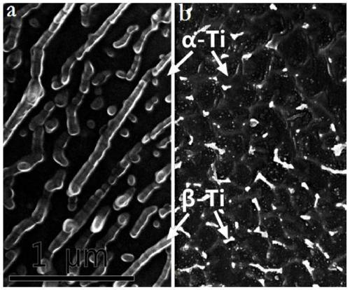 Multi-scale structure alloy material, preparation method and application thereof