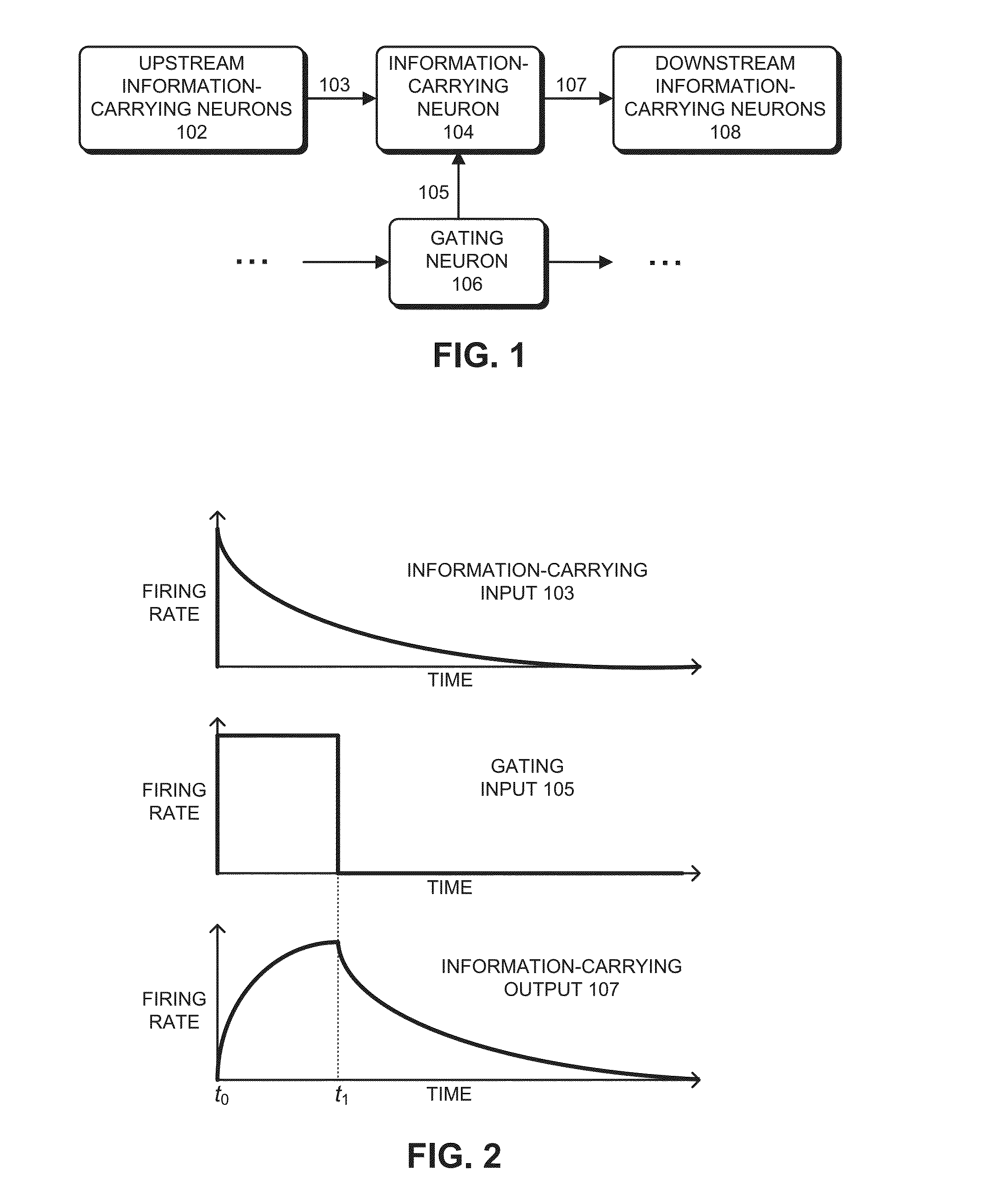 Neuromorphic circuit that facilitates information routing and processing