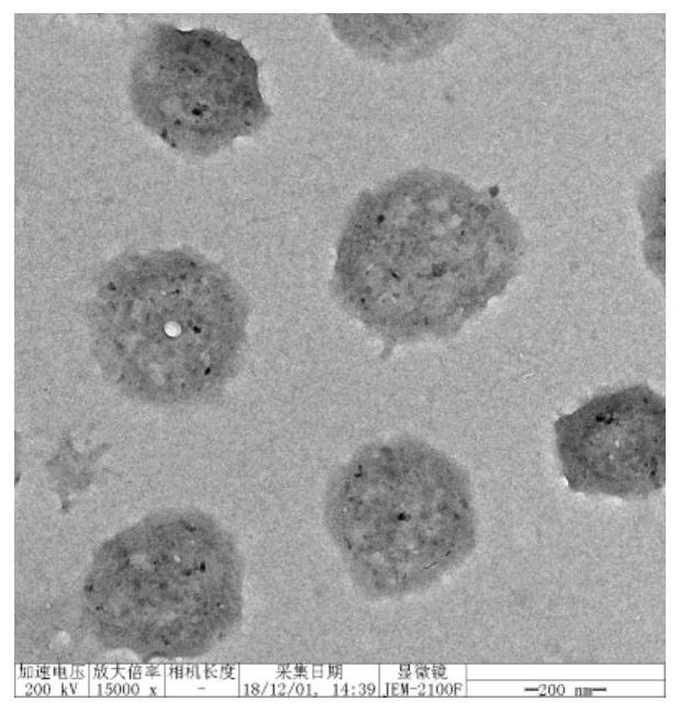 Hybrid nucleic acid drug carrier of dna and polymer and its preparation method and application