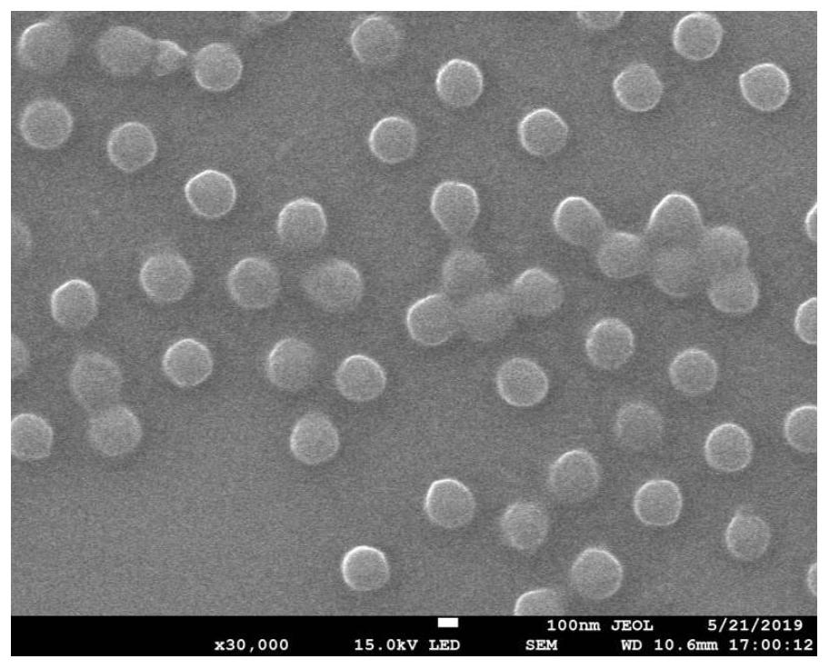 Hybrid nucleic acid drug carrier of dna and polymer and its preparation method and application