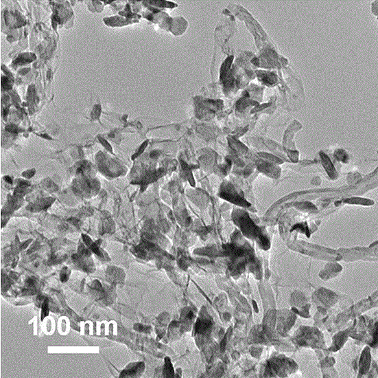 Nickel cobalt sulfide/graphene/carbon nanotube composite material and preparation method and application thereof