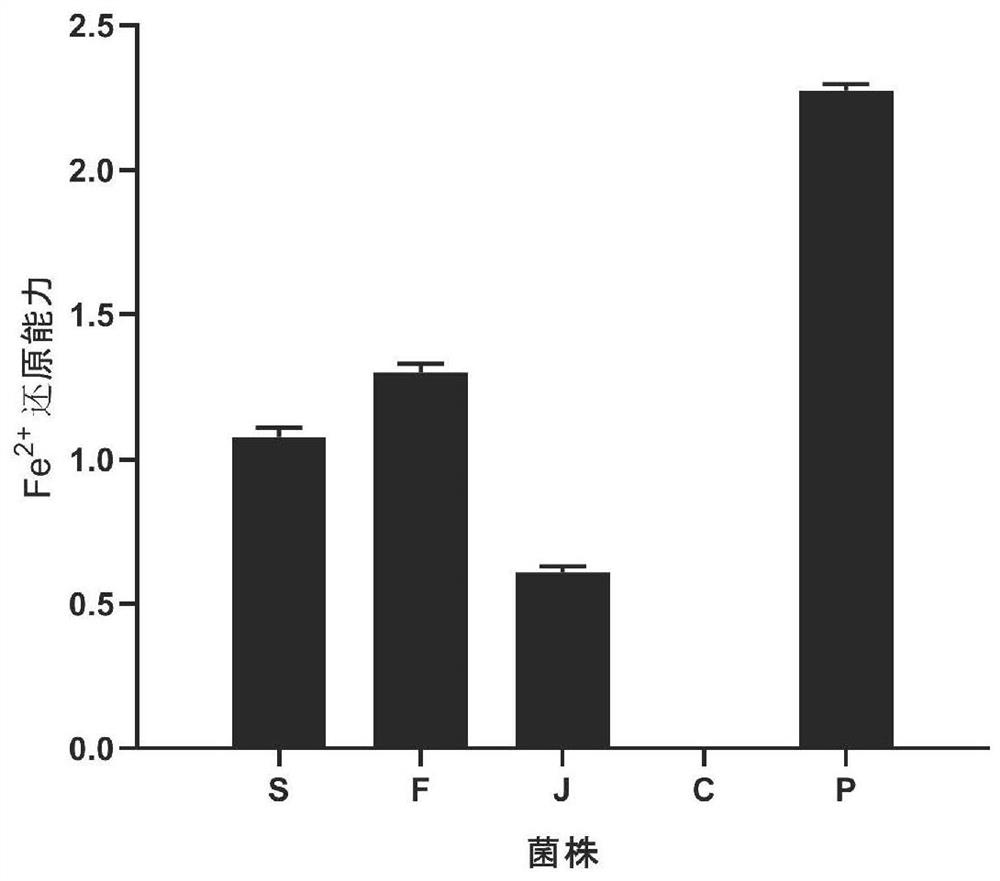 Liquorice fermentation liquor with effects of resisting oxidation, relieving acute alcoholic liver injury and regulating intestinal flora and application of liquorice fermentation liquor