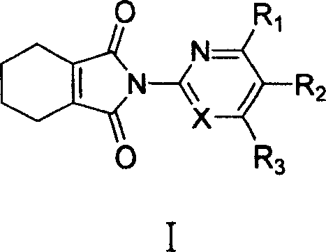 Imide analog compounds and its preparation method