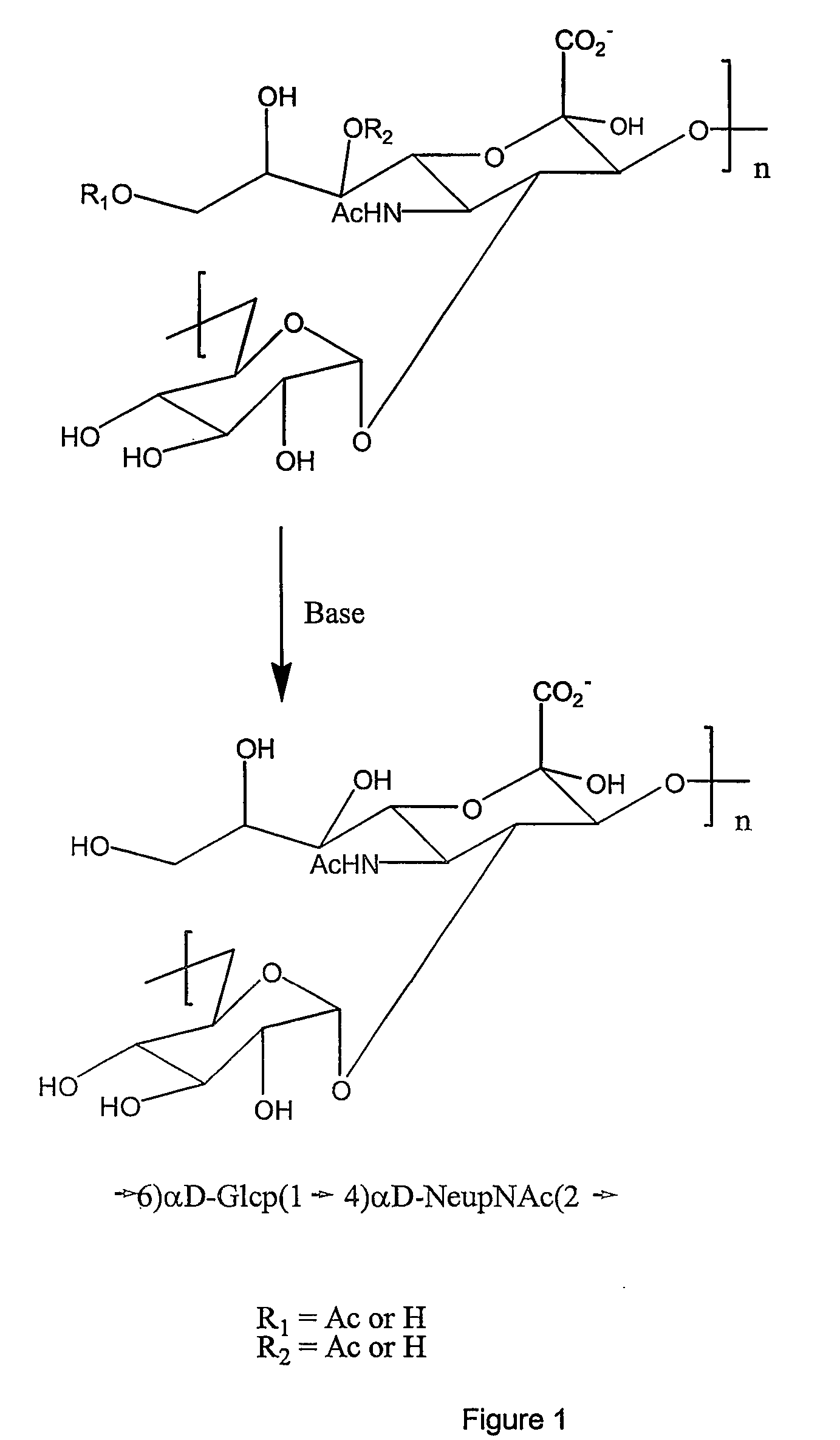 Vaccines against group neisseria meningitidis and meningococcal combinations thereof