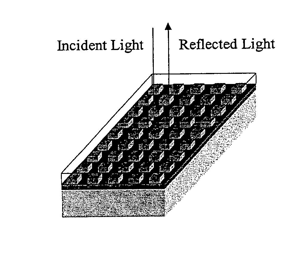 Label-free high-throughput optical technique for detecting biomolecular interactions