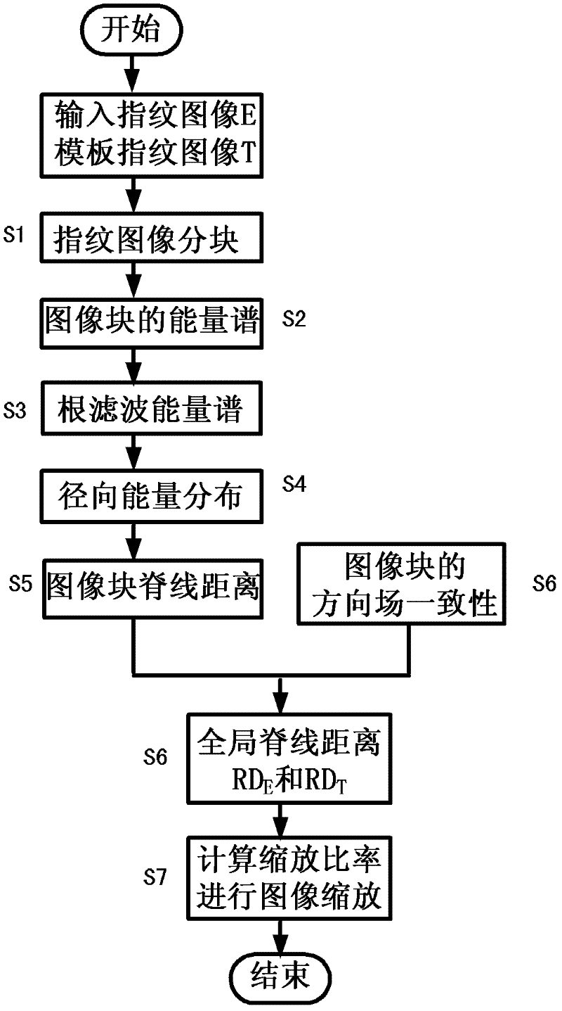 Cross matching fingerprint image scaling method based on global ridge distance