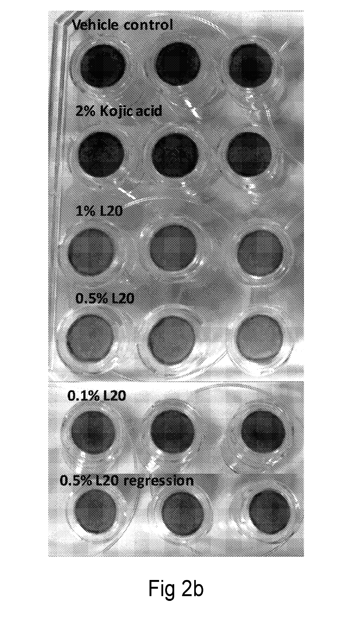 N-lipoic-amino acid or peptide, derivatives and their uses