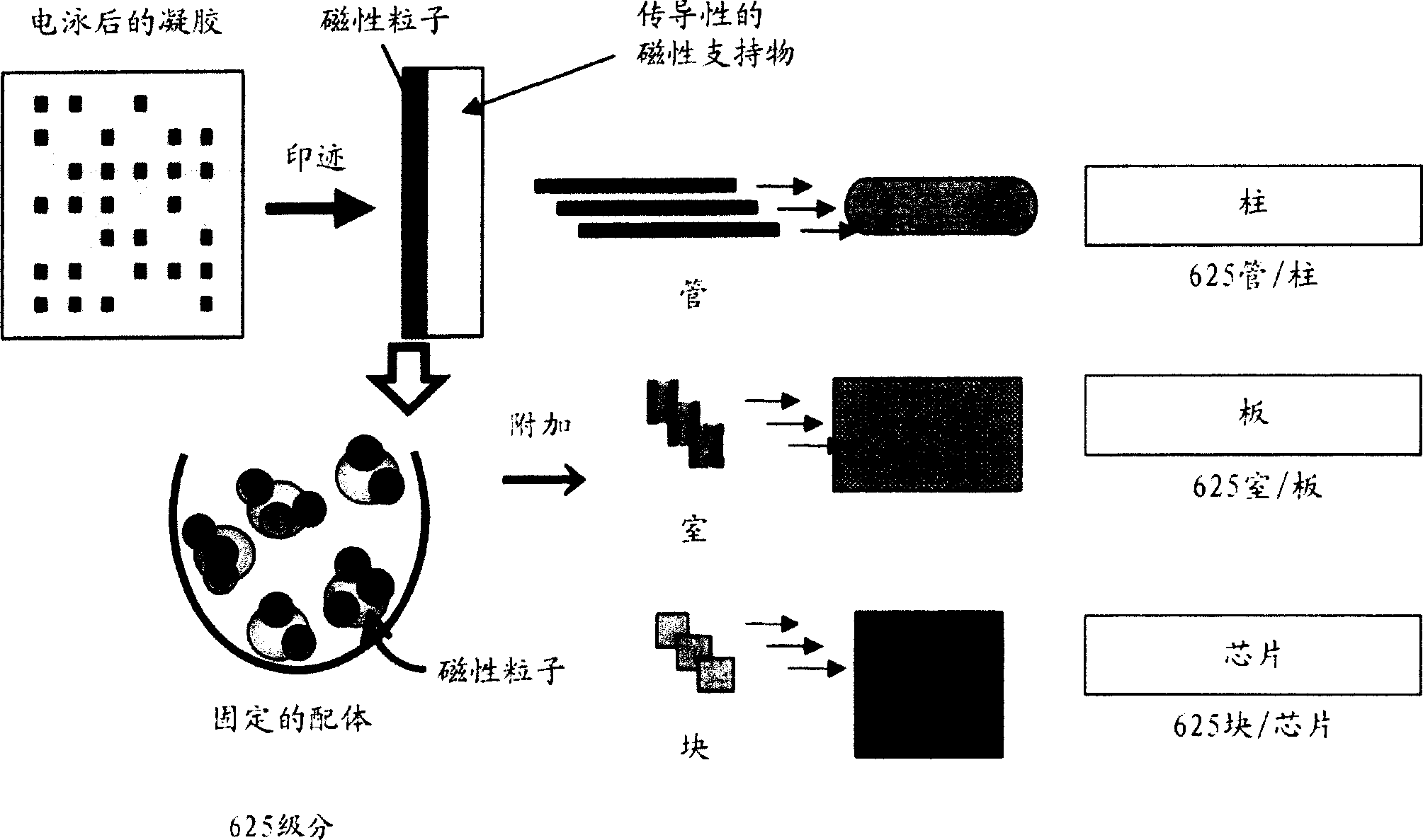 Novel proteome analysis method and devices therefor